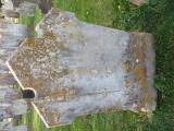 image number C1_222